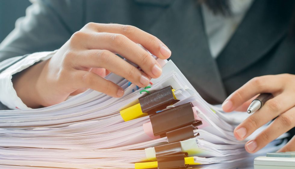 Młodszy Specjalista ds. zakupów / Specjalista ds. zakupów